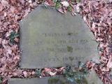 image of grave number 966125